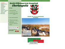 Tablet Screenshot of oberlungwitz.de